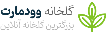 بازرگانی اربطی